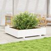 vidaXL Jardini&egrave;re blanc 110x110x26,5 cm bois de pin massif
