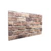 vidaXL Panneaux muraux 10 pcs Marron et gris 100 x 50 cm Mousse EPS