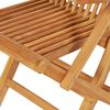 vidaXL Salon de jardin 7 pcs Bois de teck massif