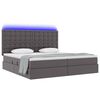 vidaXL Lit avec rangement et LED Gris 200 x 200 cm Simili cuir