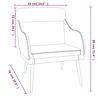 vidaXL Fauteuil Gris clair 63x76x80 cm Velours