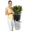 LECHUZA Jardini&egrave;re CLASSICO LS 35 ALL-IN-ONE blanc brillant 16060