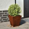 Vignette du produit 2 sur 13