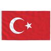 vidaXL Drapeau de la Turquie et m&acirc;t 6,08 m Aluminium