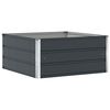 vidaXL Jardini&egrave;re Anthracite 100 x 100 x 45 cm Acier