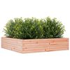 vidaXL Jardini&egrave;re 100x100x23 cm bois massif de douglas
