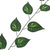 vidaXL Pothos Artificiel 5 pcs Vert 300 cm Plastique
