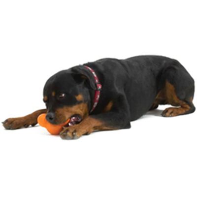 West Paw Jouet pour chiens avec Zogoflex Tux Orange mandarine L