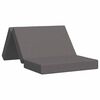 vidaXL Canap&eacute;-lit pliable 100 x 67 x 45 cm Gris clair
