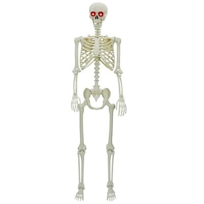 Squelette Halloween blanc 155 x 38,5 cm
