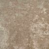 vidaXL Rideaux en velours 2 pcs Champagne 260 x 140 cm Velours
