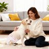 vidaXL Couche jetable pour chienne 30 pcs Blanc M