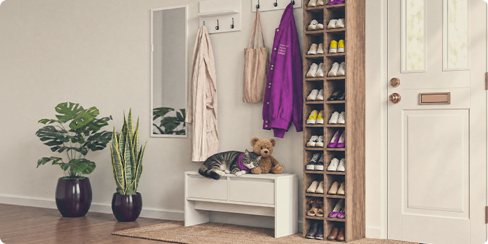 Chat qui se repose sur un banc de rangement à côté d’un meuble à chaussures dans l’entrée.