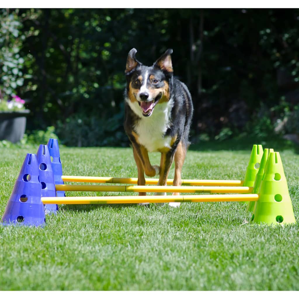 FitPAWS Kit d'agilité pour chiens Canine Gym