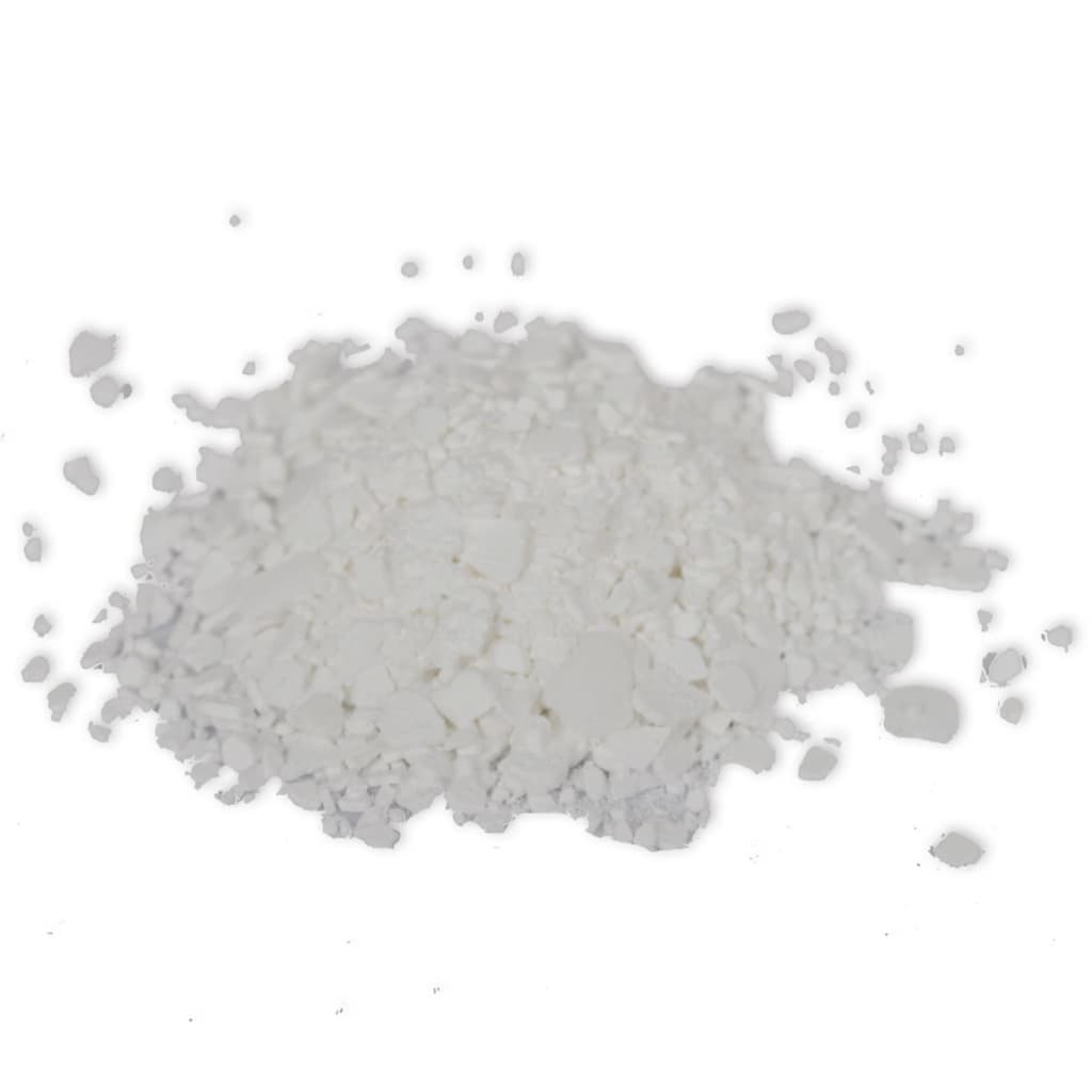 vidaXL Sachets de rechange de chlorure de calcium 20 pcs 20 kg