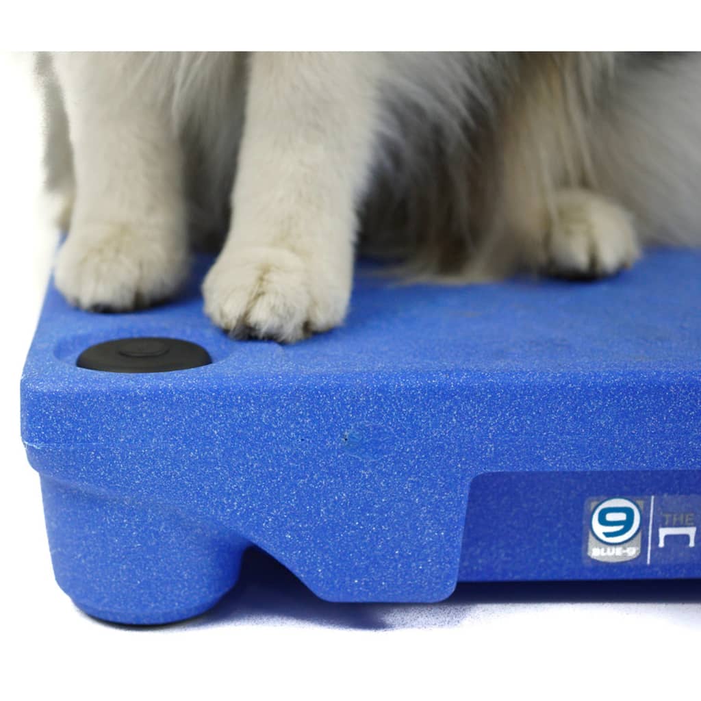 BLUE-9 Pieds de sécurité pour système de dressage de chien KLIMB 4 pcs
