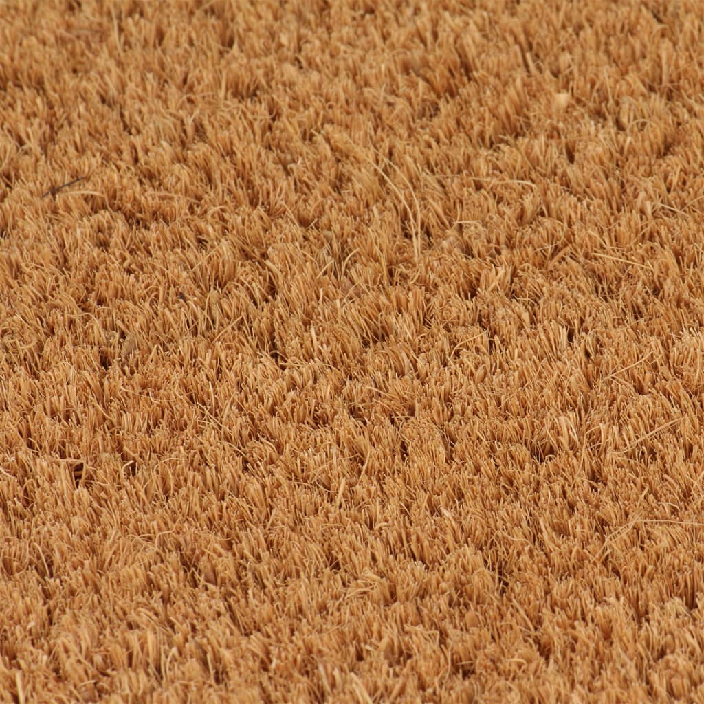 vidaXL Tapis de porte 2 pcs naturel 40x60 cm fibre de coco touffeté