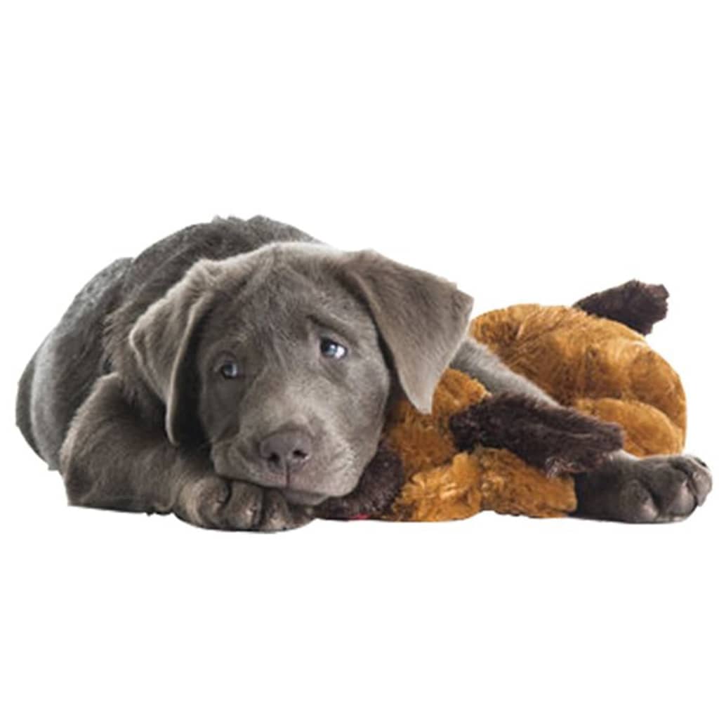 Snuggle Puppy Kit de début de soin des chiots
