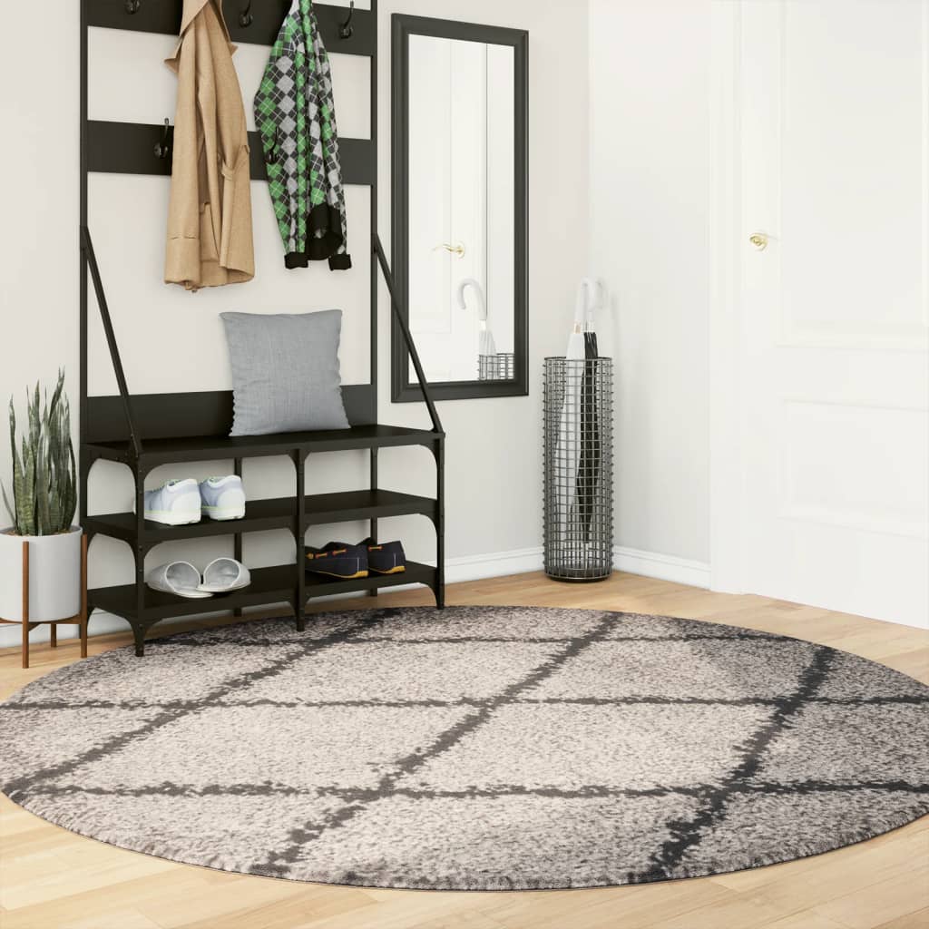 vidaXL Tapis shaggy à poils longs moderne beige et anthracite Ø 200 cm