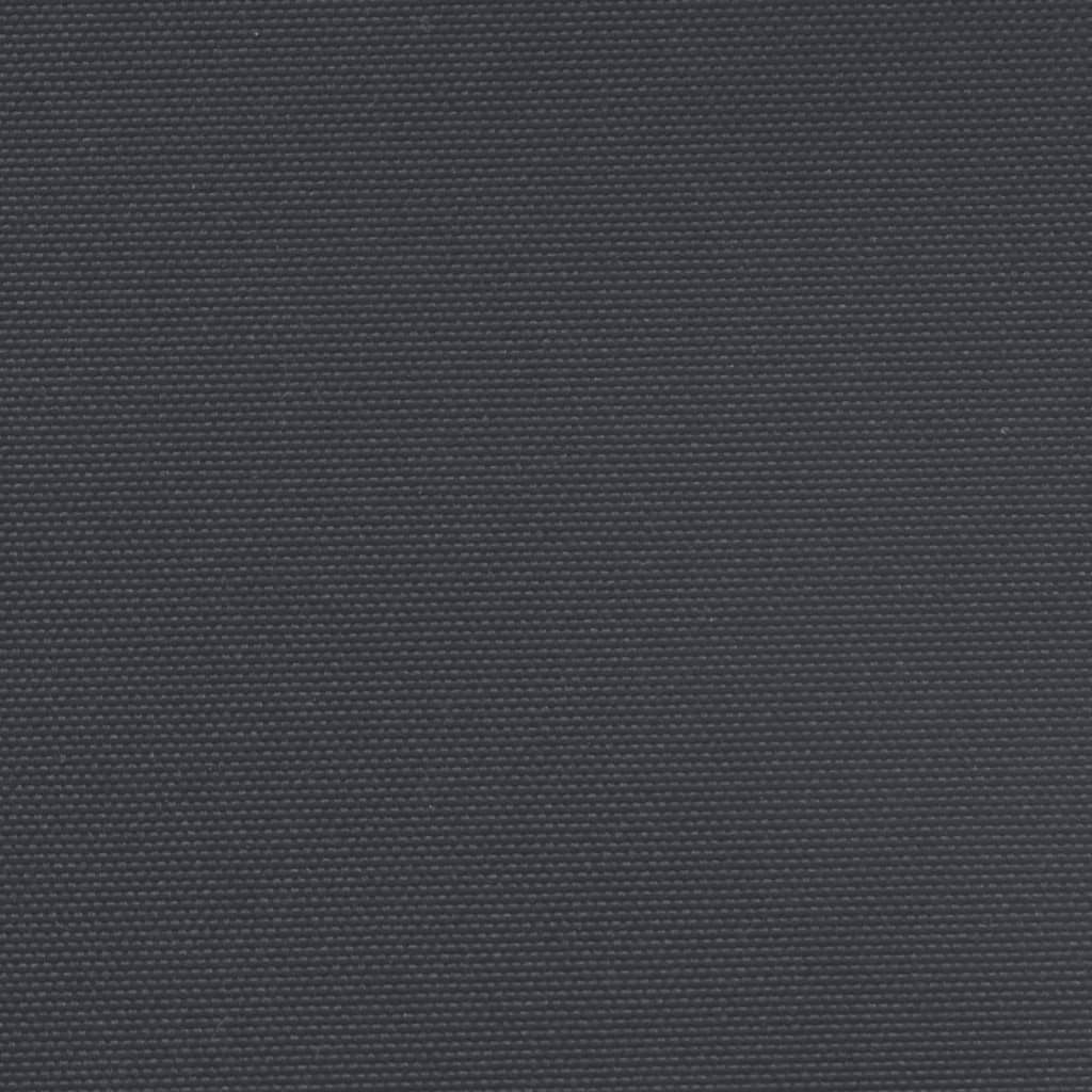 vidaXL Auvent latéral rétractable noir 200x300 cm