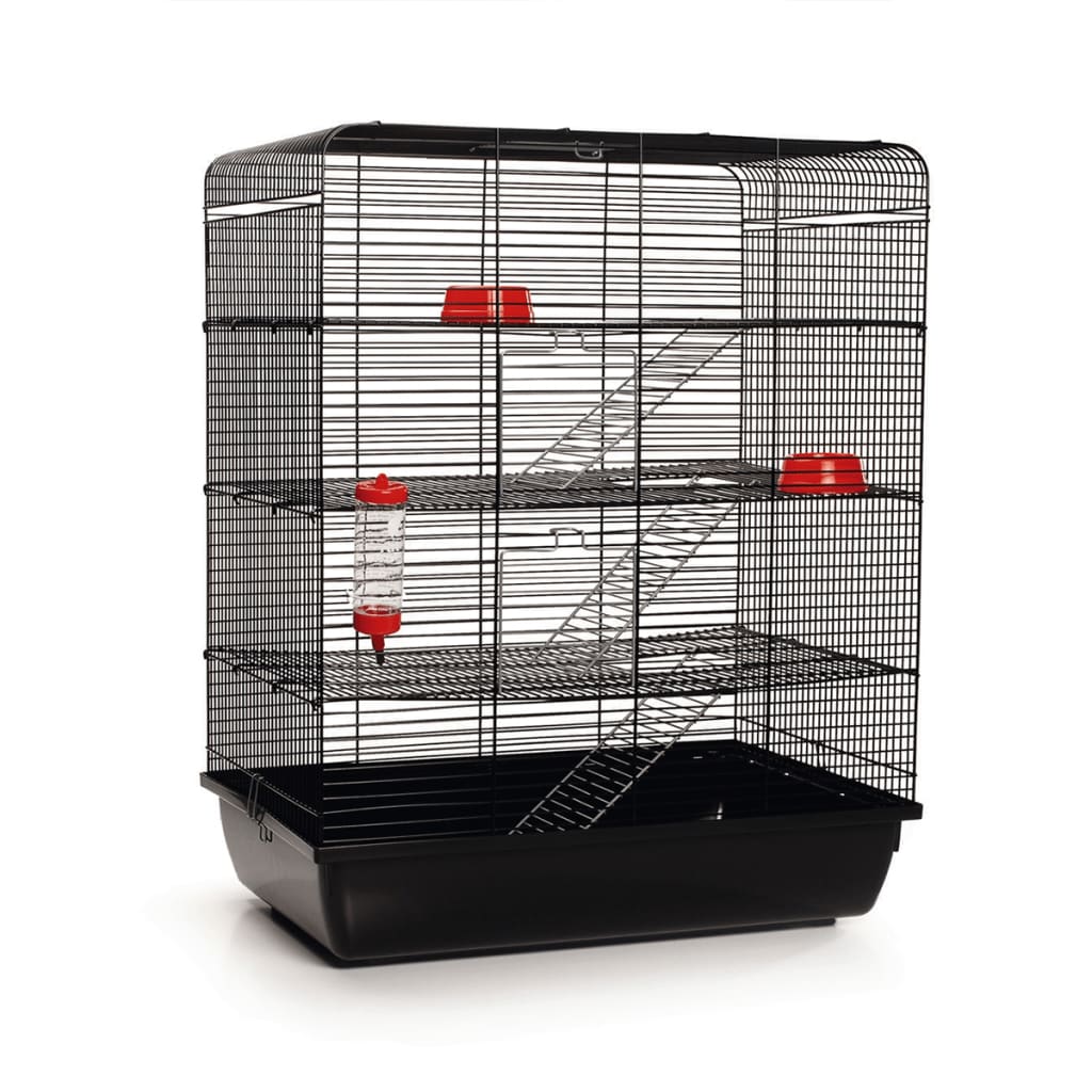 Beeztees Cage à rat Remy Noir 58 x 38 x 71 cm 266815