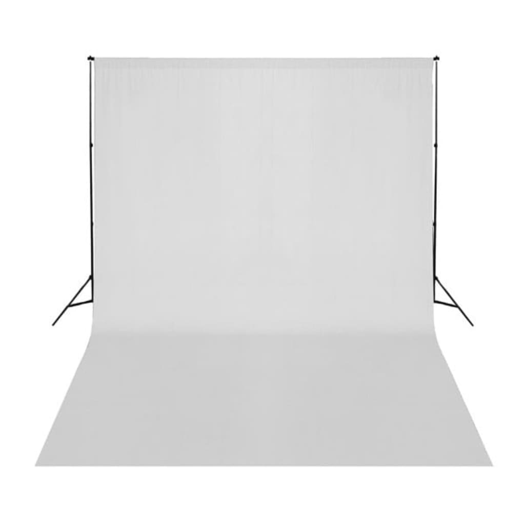 vidaXL Kit de studio photo avec boîtes à lumière et toile de fond