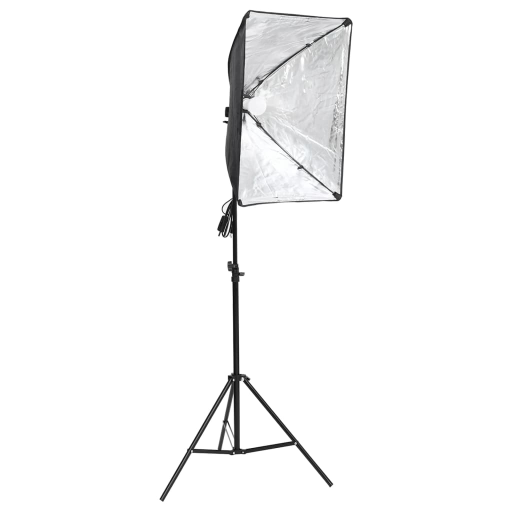 vidaXL Kit de studio photo avec boîte à lumière et toile de fond