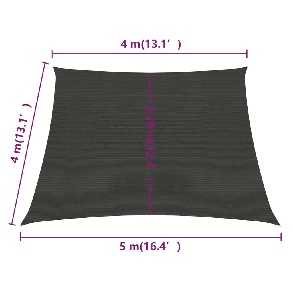 vidaXL Voile d'ombrage 160 g/m² Anthracite 4/5x4 m PEHD