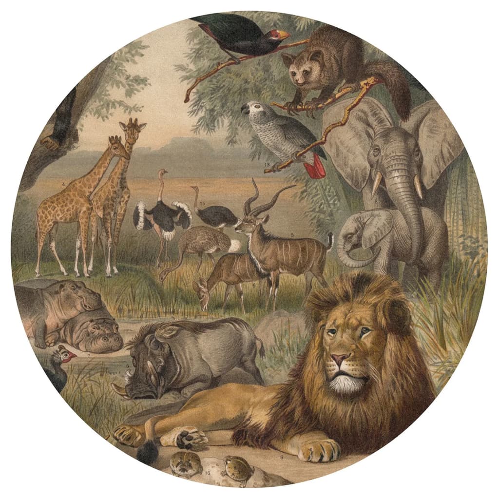 WallArt Papier peint cercle Animals of Africa 142,5 cm
