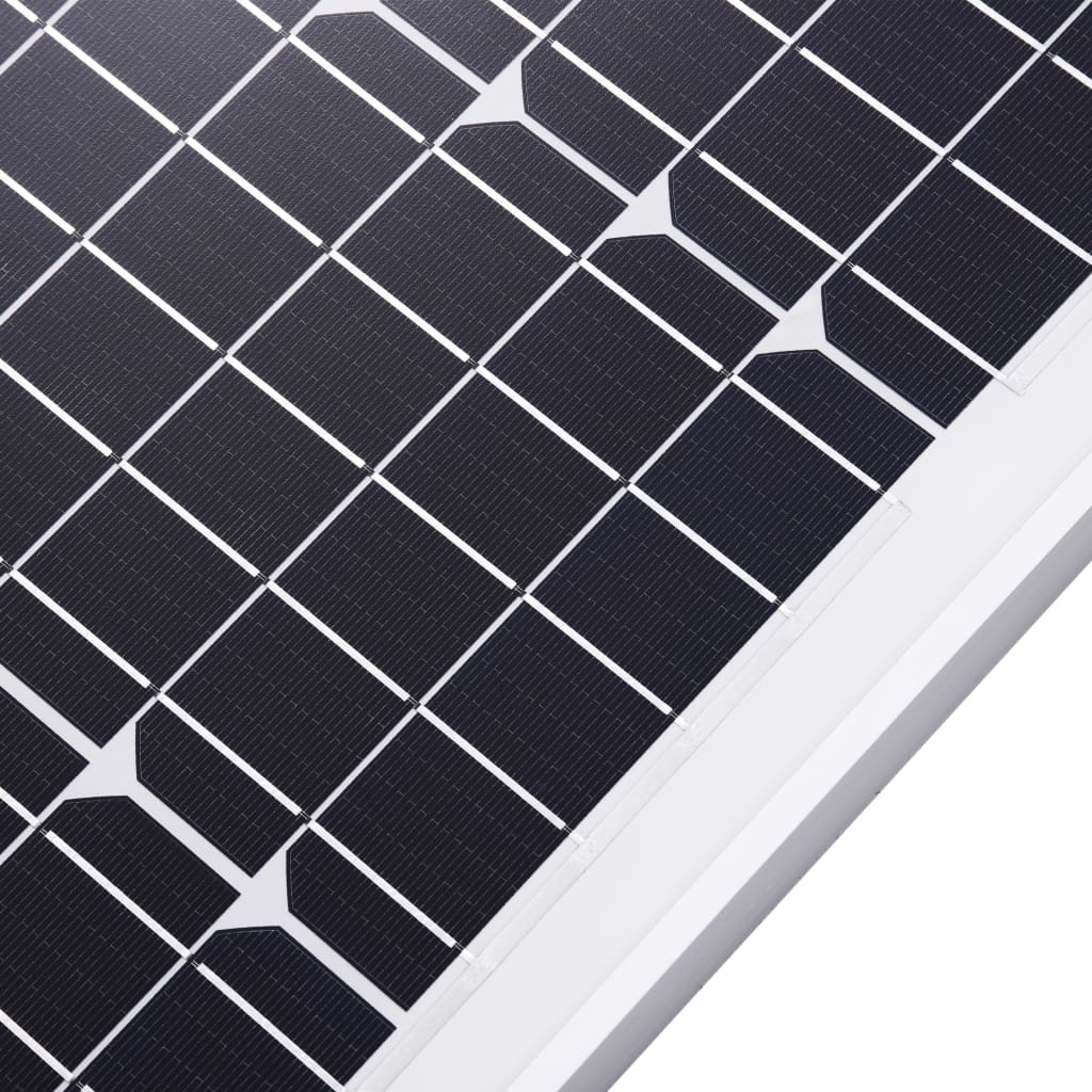 vidaXL Panneaux solaires 2 pcs 100 W Monocristallin Verre de sécurité