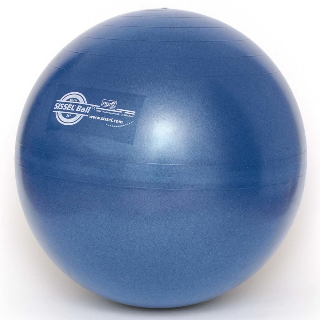 Sissel Ballon d'exercice 65 cm Bleu SIS-160.063