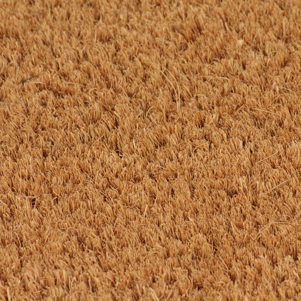 vidaXL Tapis de porte naturel 50x80 cm fibre de coco touffeté