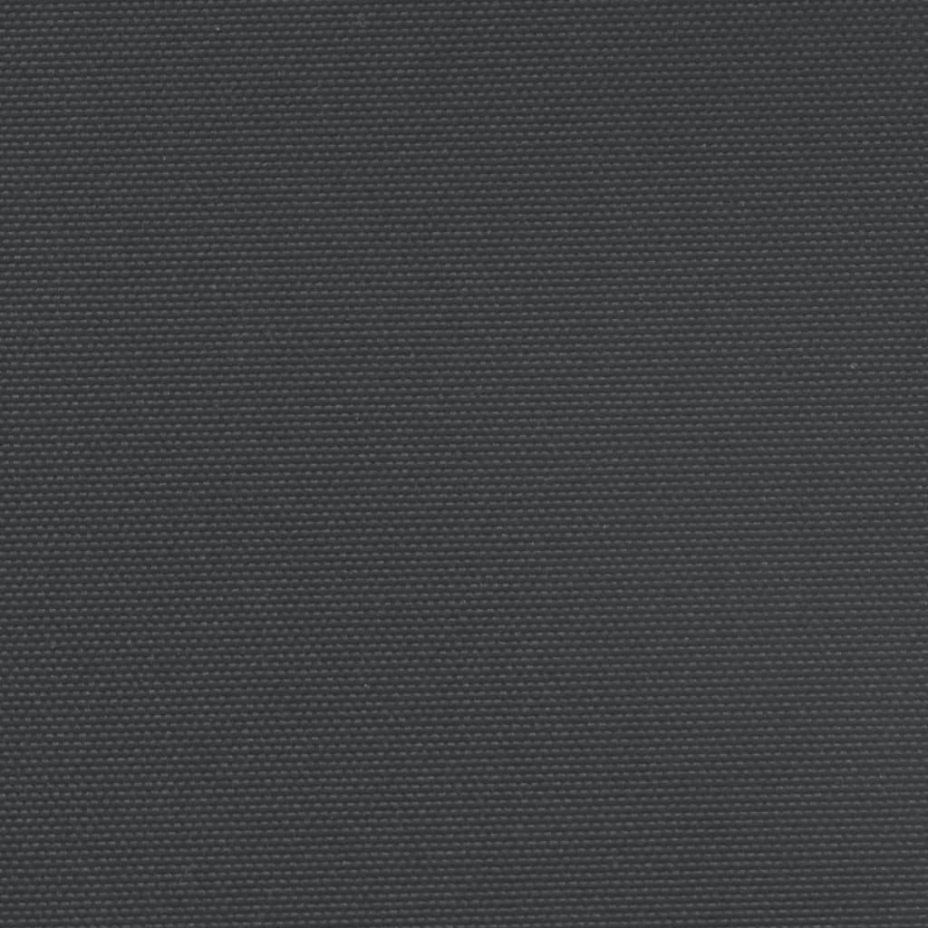 vidaXL Auvent latéral rétractable noir 120x600 cm
