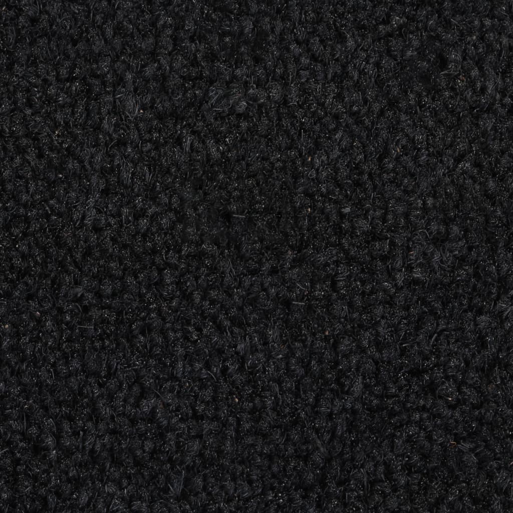 vidaXL Tapis de porte noir 65x100 cm fibre de coco touffeté